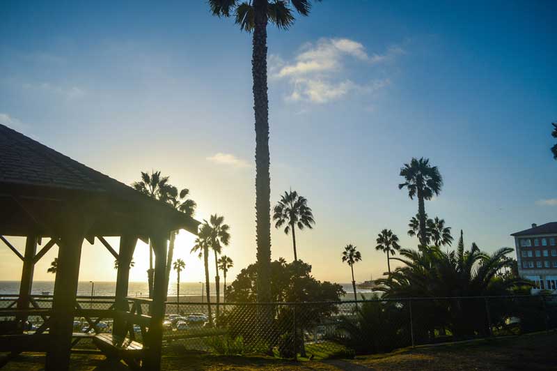Venice Beach Rental Experience garden